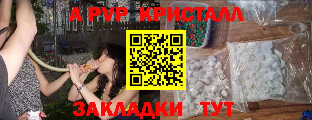 A-PVP VHQ Курчалой