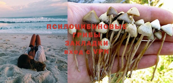 MESCALINE Магас