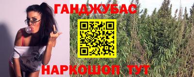 крисы Аргун