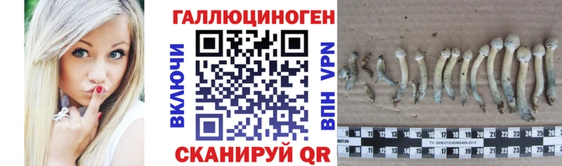 Галлюциногенные грибы мицелий  дарнет шоп  Курчалой 