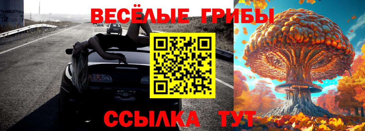 Псилоцибиновые грибы ЛСД  Вход с VPN  Галлюциногенные грибы Psilocybine cubensis  Курчалой 