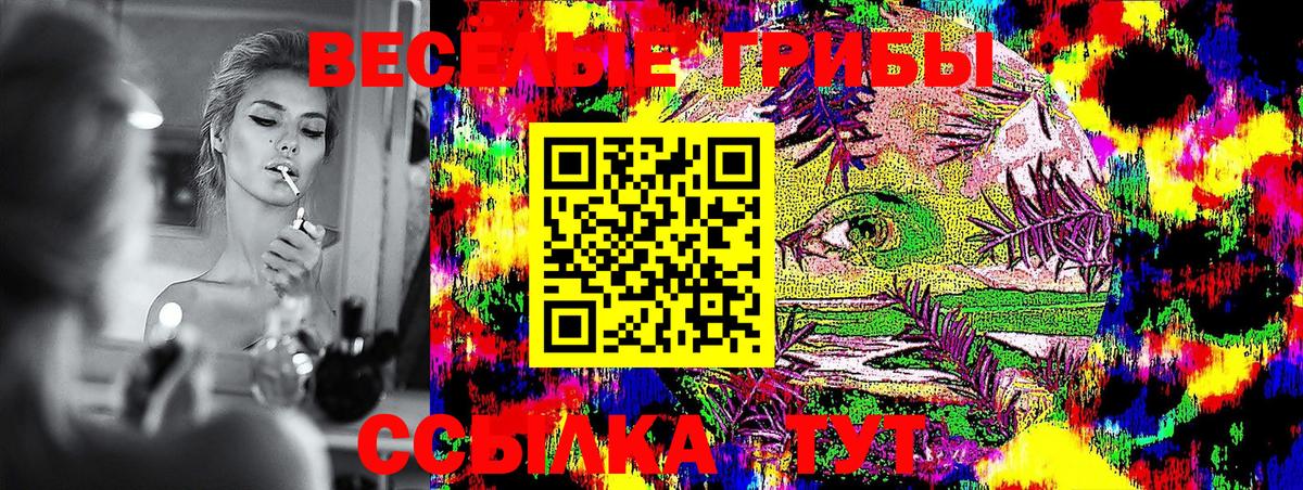 Галлюциногенные грибы GOLDEN TEACHER  Курчалой 