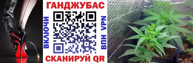 KRAKEN ссылка  Курчалой  Конопля SATIVA & INDICA 